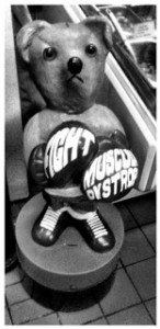 Fight Muscular Dystrophy