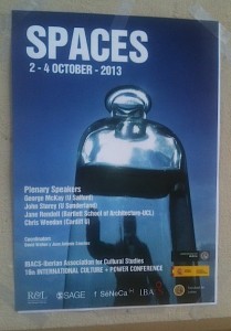 IBACS poster 2013